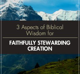 Creation Care - A Biblical Theology of the Natural World