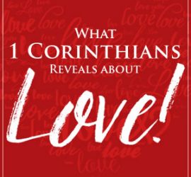 Zondervan Exegetical Commentary on the New Testament