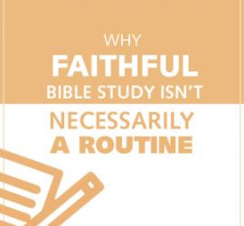 Brief Insights on Mastering Bible Study