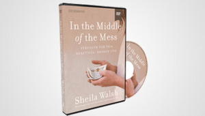 IN THE MIDDLE OF THE MESS