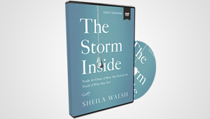 THE STORM INSIDE