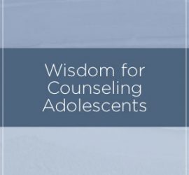 Counseling Adolescents