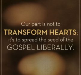 Organic Outreach for Churches
